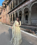 Enhance the beauty of your wardrobe with this newly launched designer anarkali gown with elegant dupatta