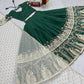 Launching Kalamkari Lehenga Choli