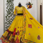Presenting new trending navratri special chaniya choli